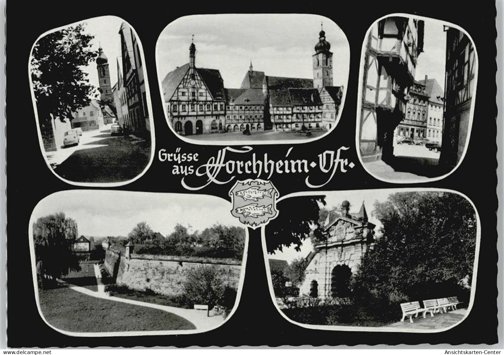 50395593 - Forchheim , Oberfr
