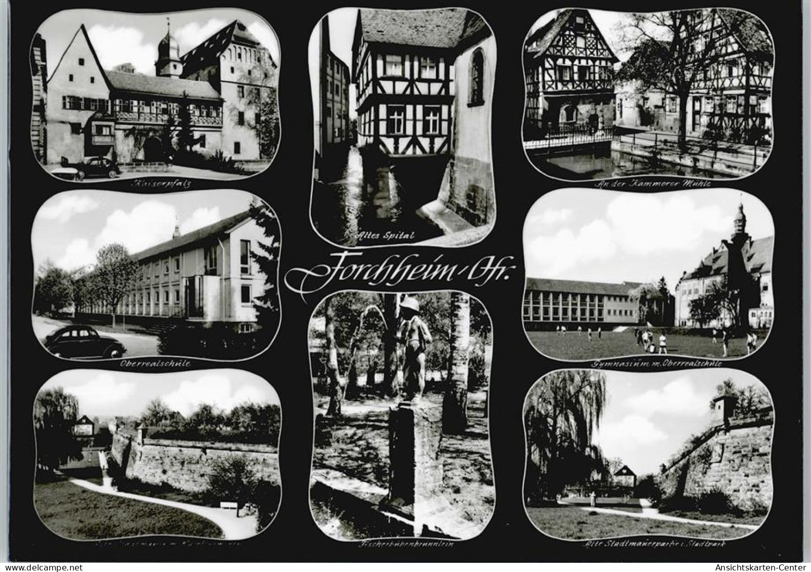 50395594 - Forchheim , Oberfr