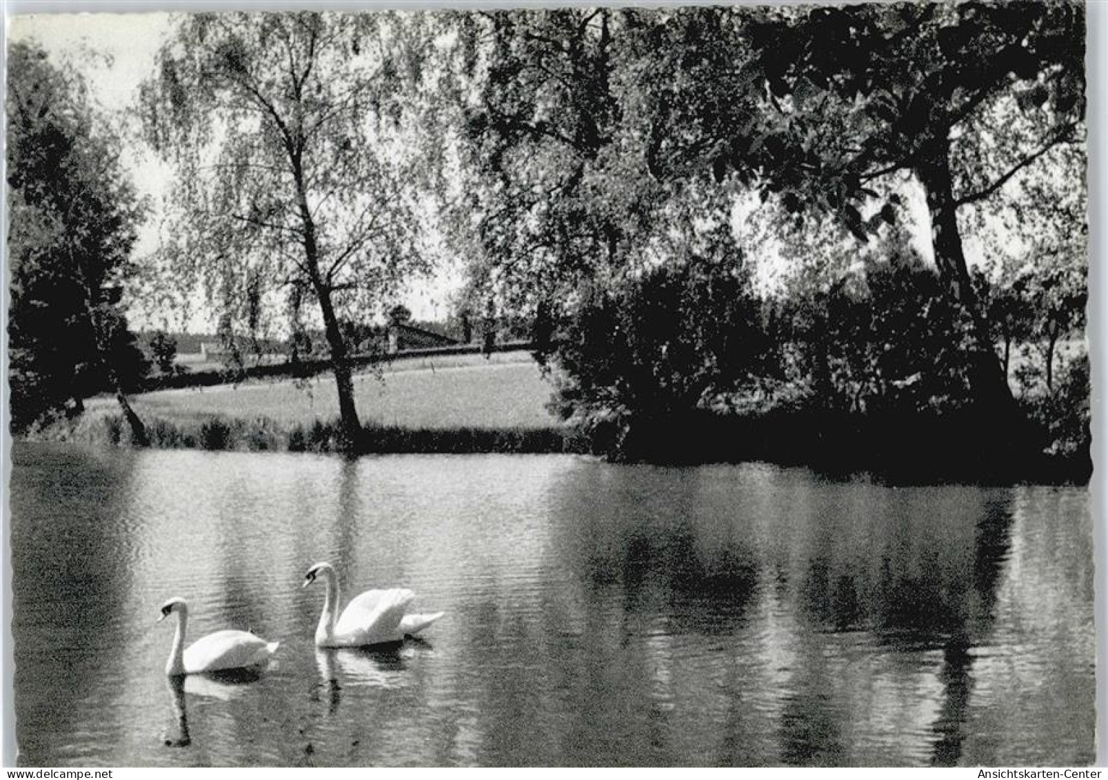 50395759 - Bad Woerishofen