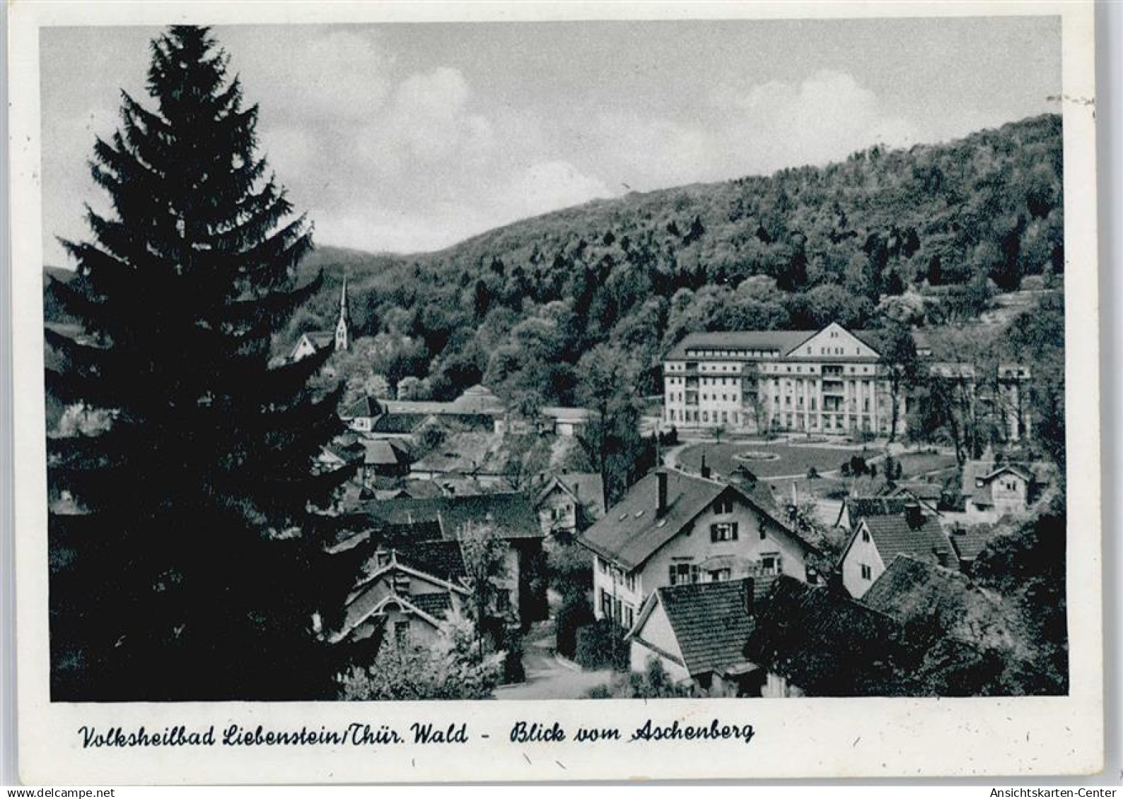 50399244 - Bad Liebenstein
