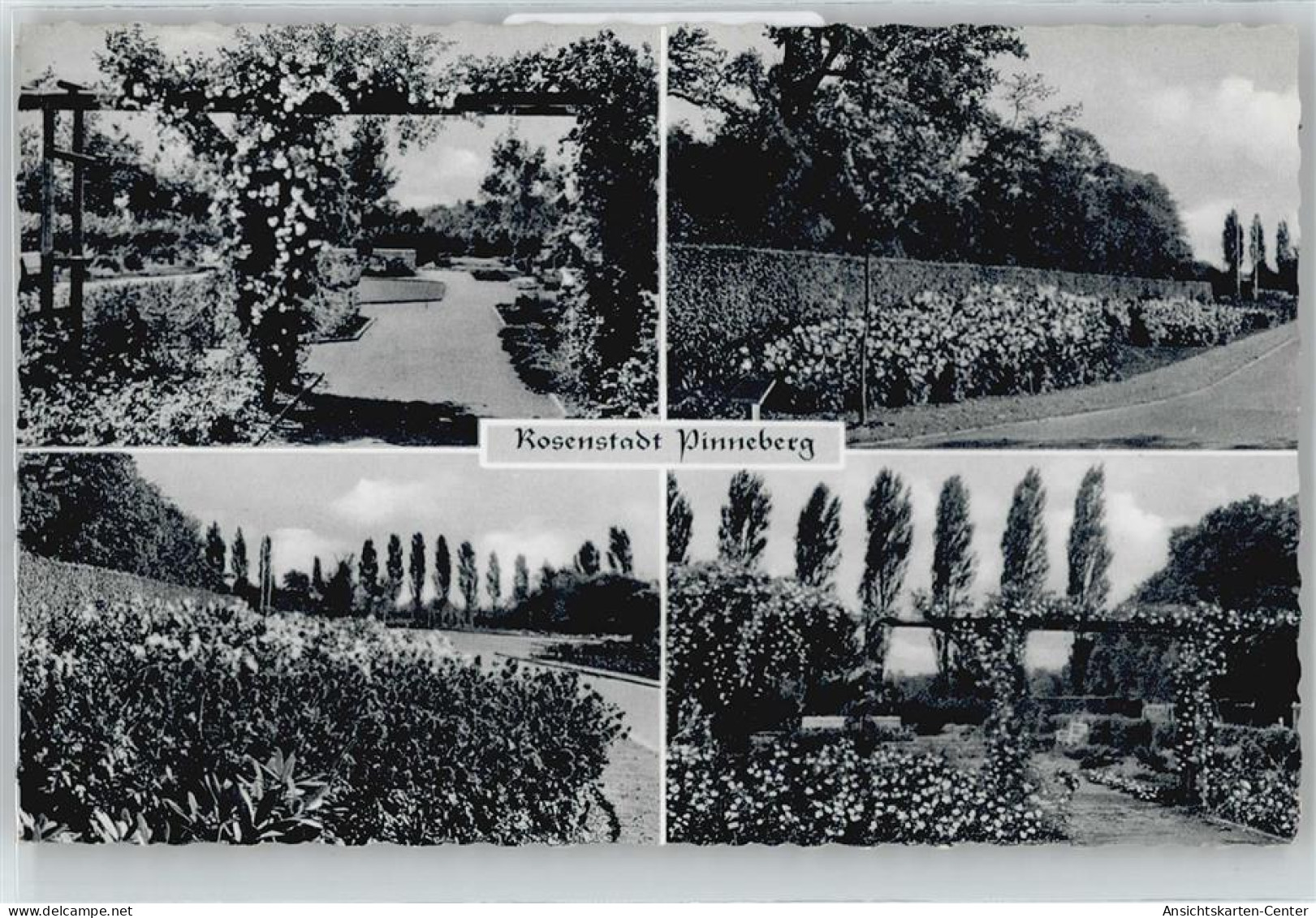 50400727 - Pinneberg