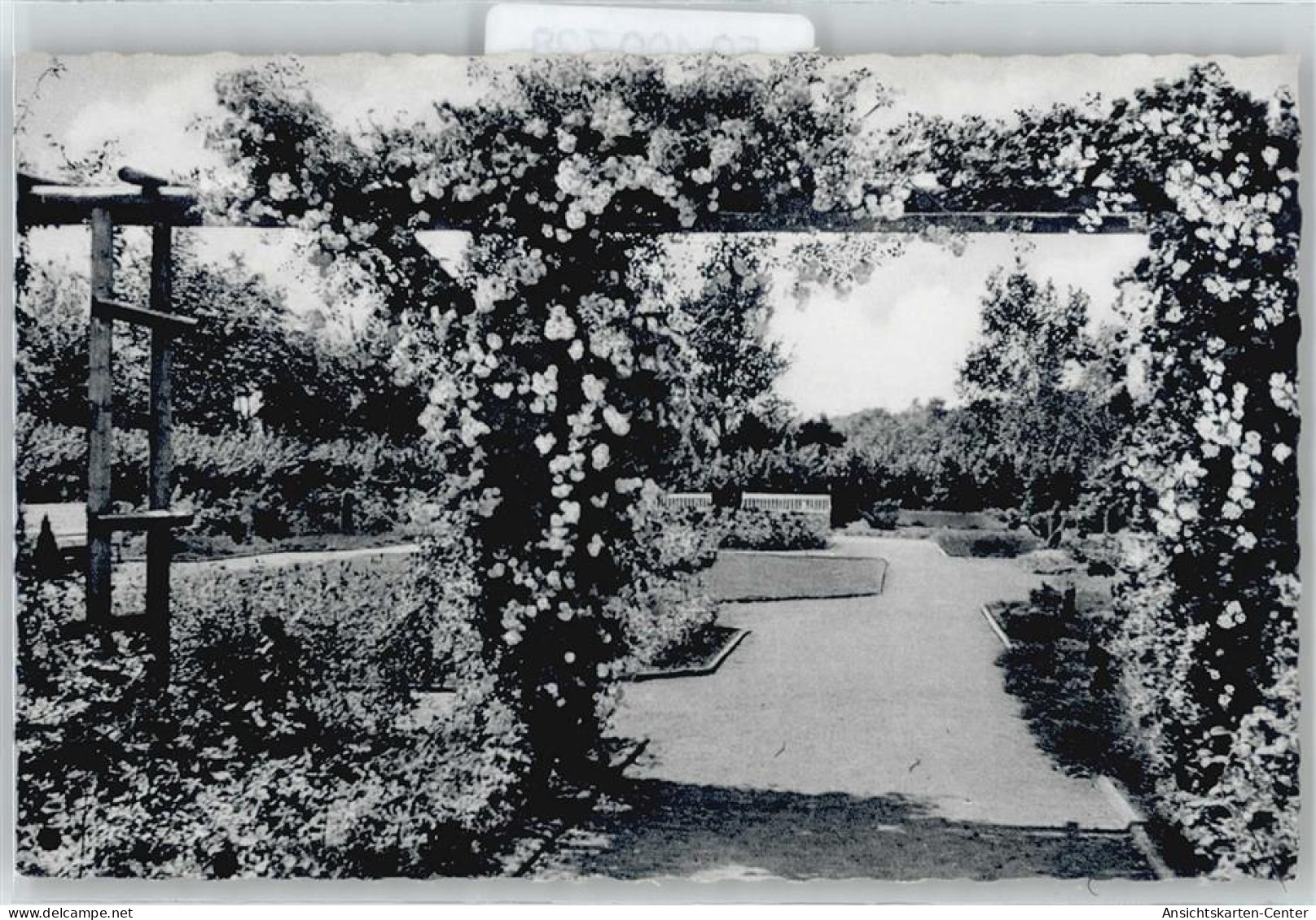 50400728 - Pinneberg