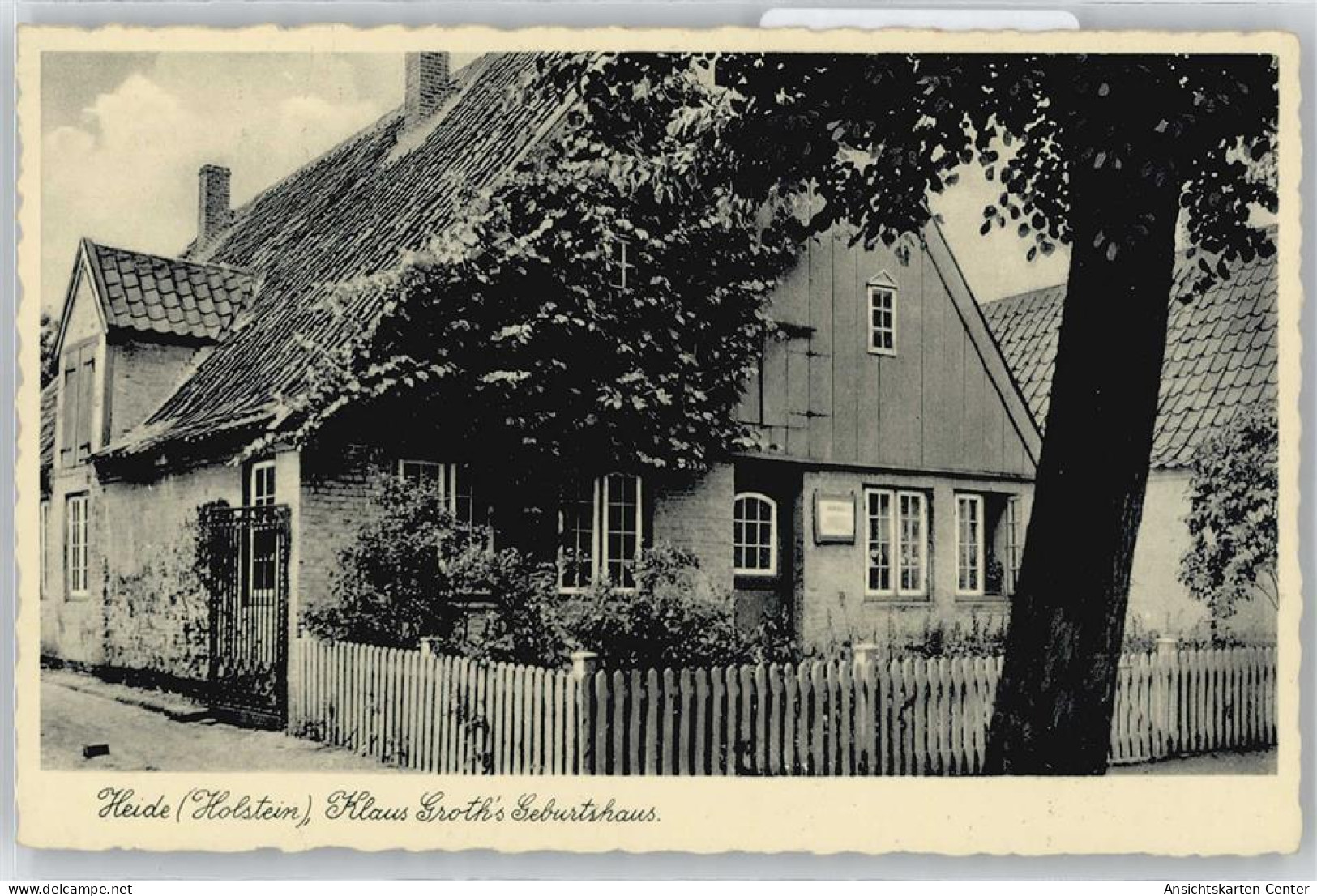 50400774 - Heide , Holst