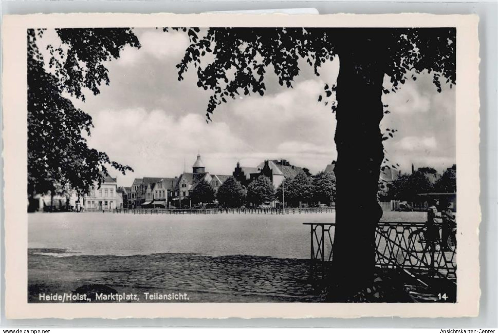 50400784 - Heide , Holst