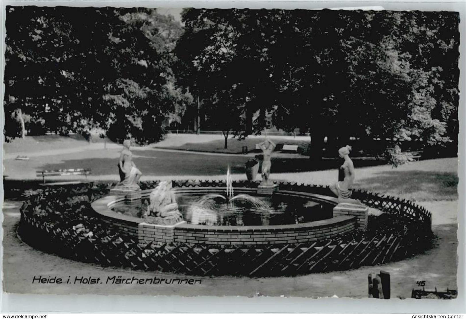 50400798 - Heide , Holst