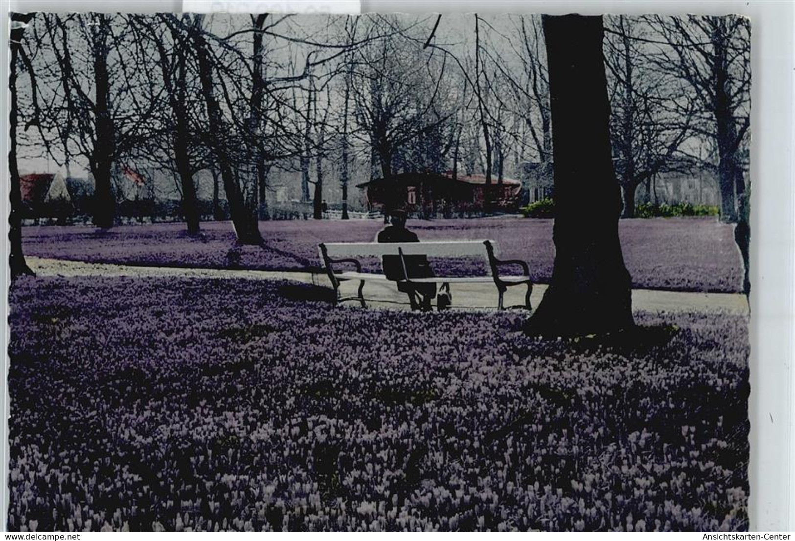 50400919 - Husum , Nordsee