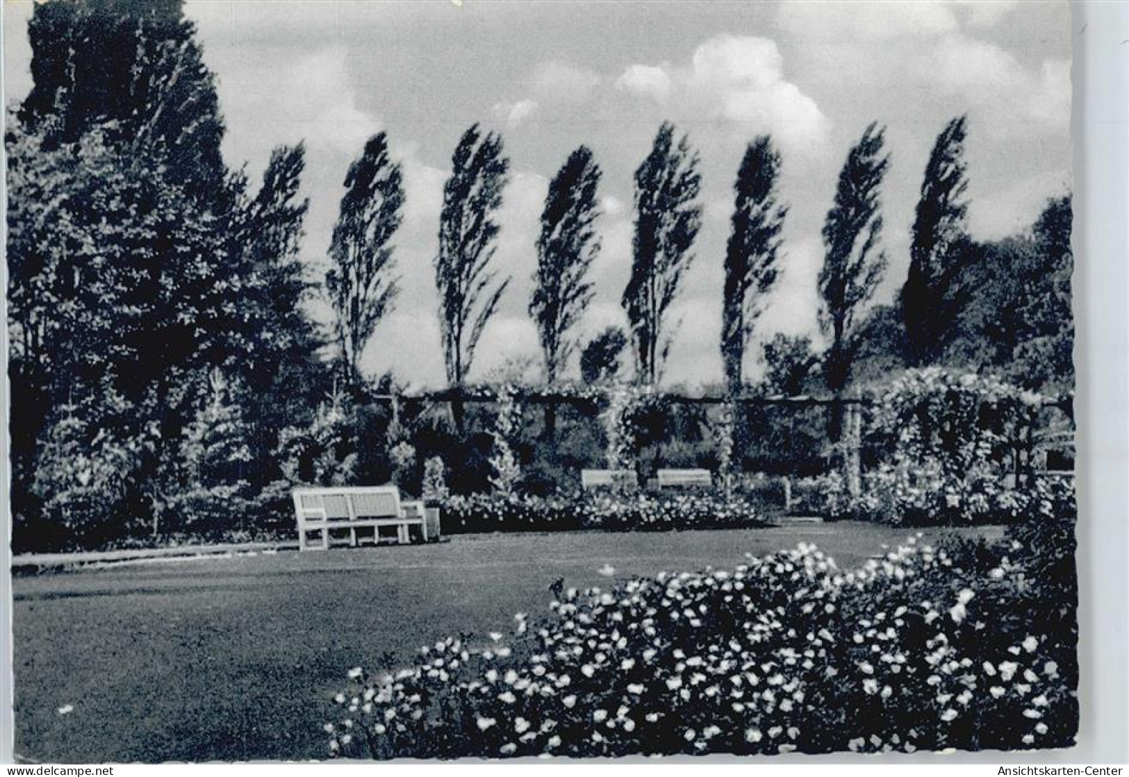 50401350 - Pinneberg