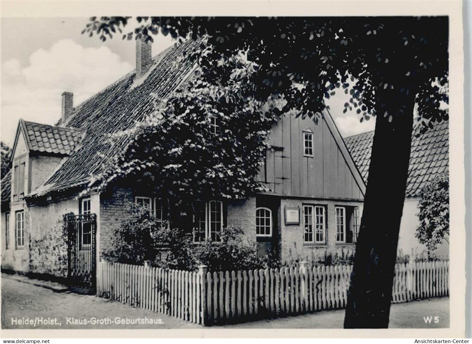 50401356 - Heide , Holst