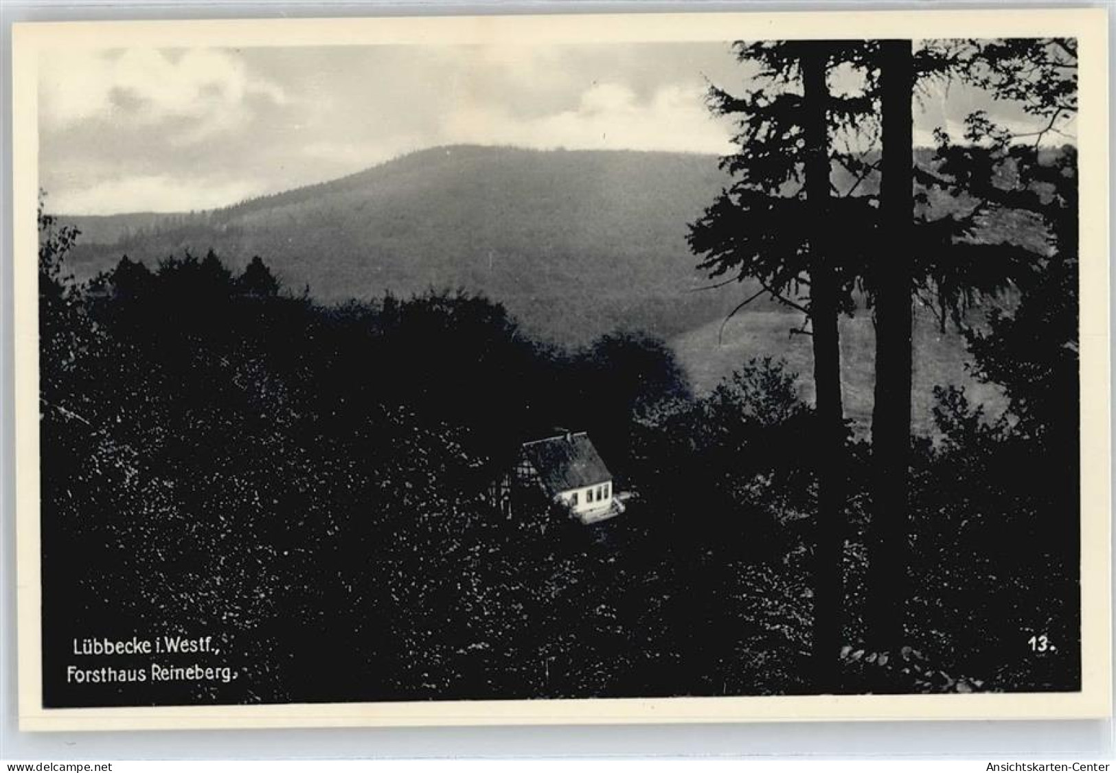 50403853 - Luebbecke , Westf