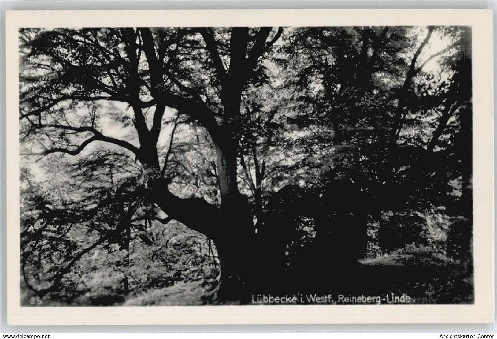 50403854 - Luebbecke , Westf