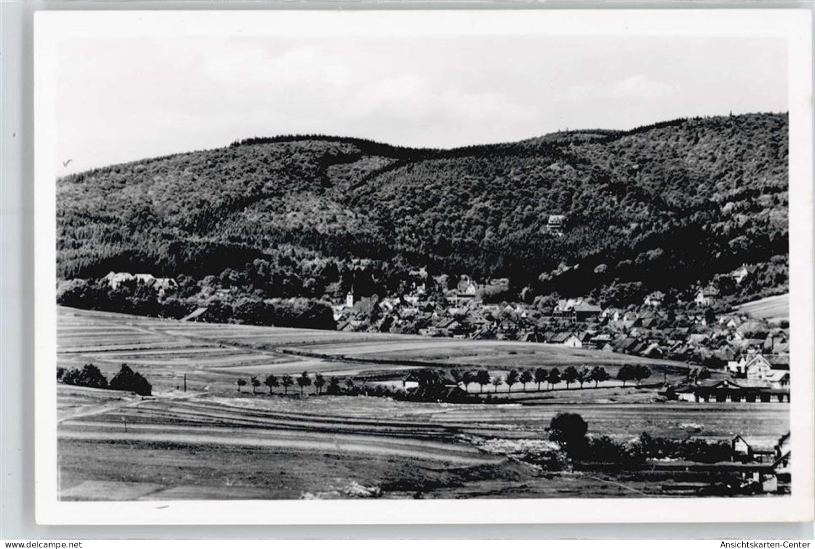 50406427 - Bad Sachsa