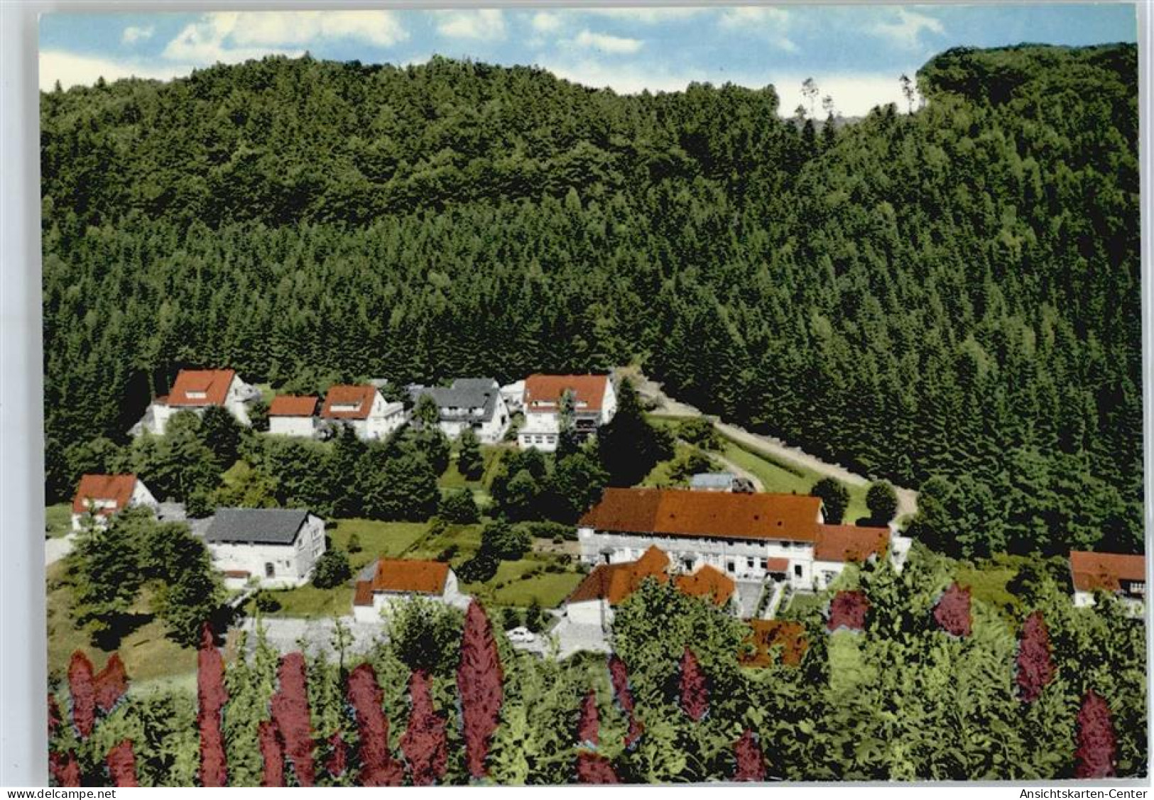 50406641 - Bad Sachsa