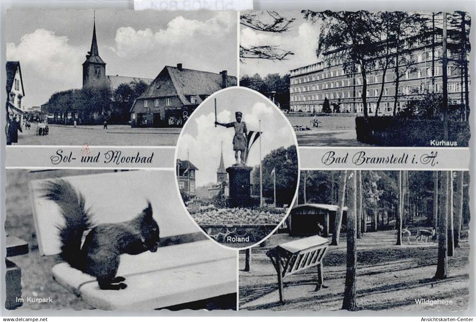 50408894 - Bad Bramstedt