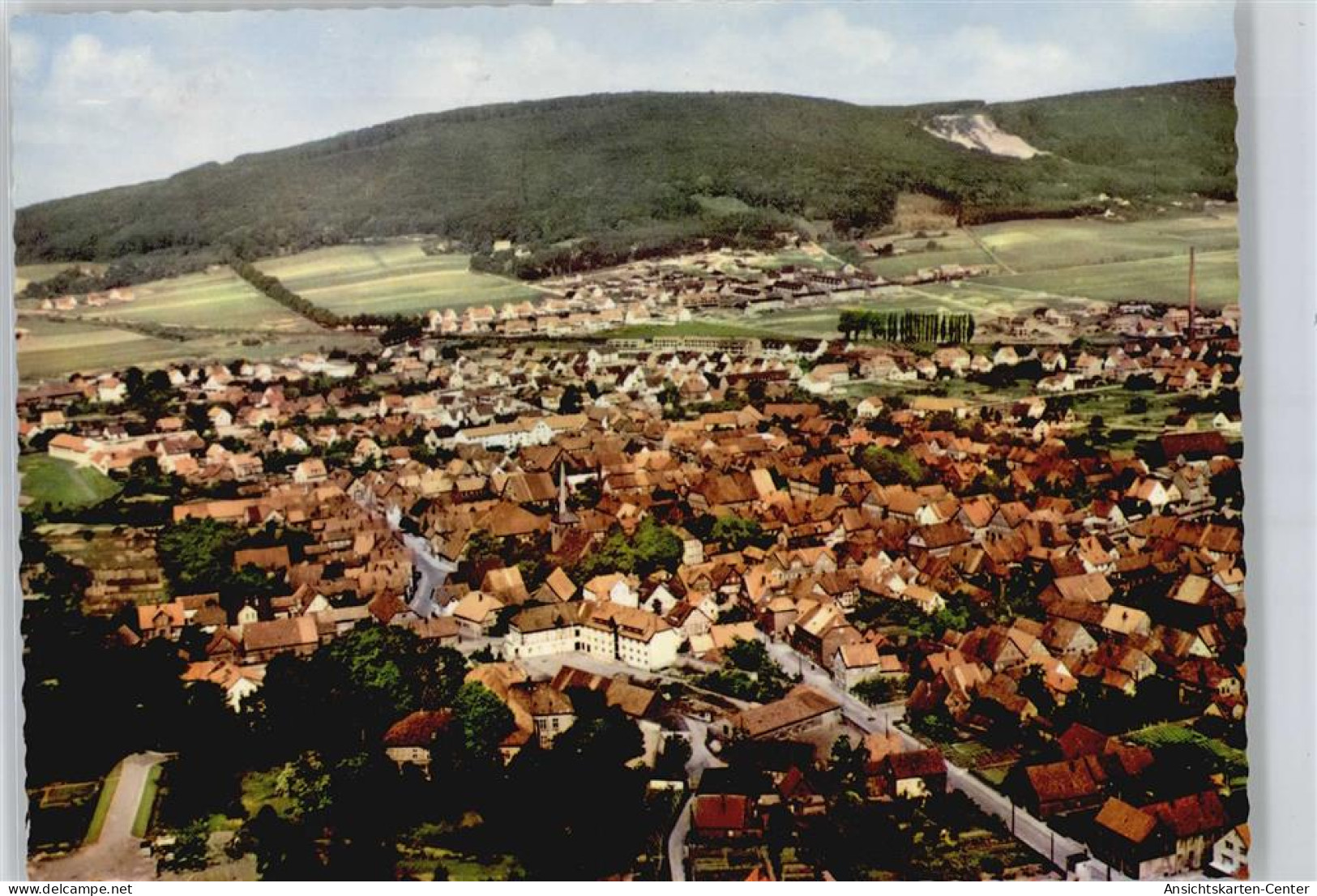 50410493 - Springe , Deister