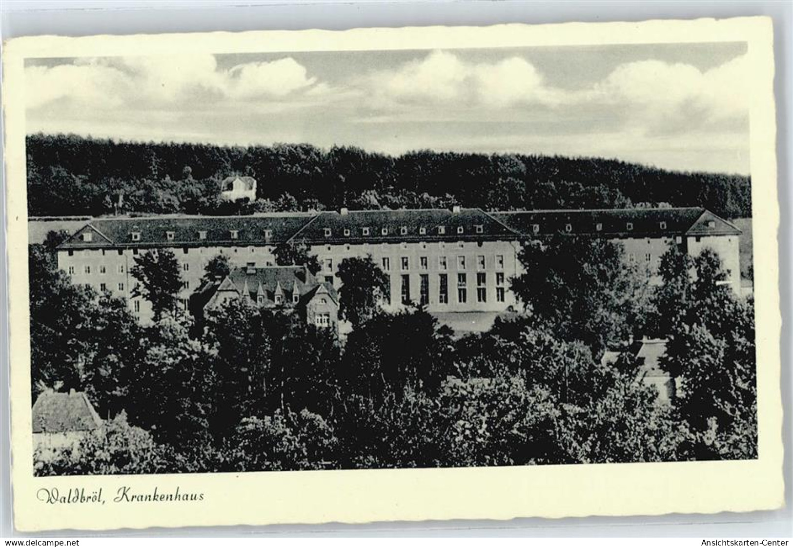 50411624 - Waldbroel