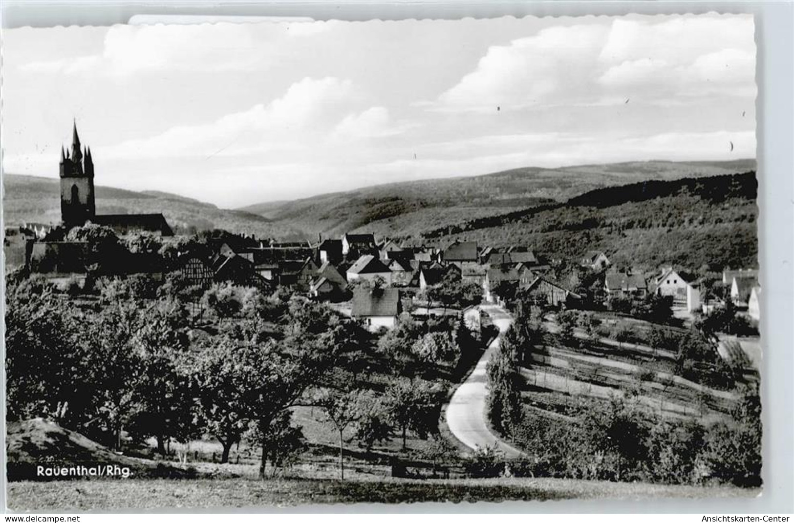 50413503 - Rauenthal , Rheingau