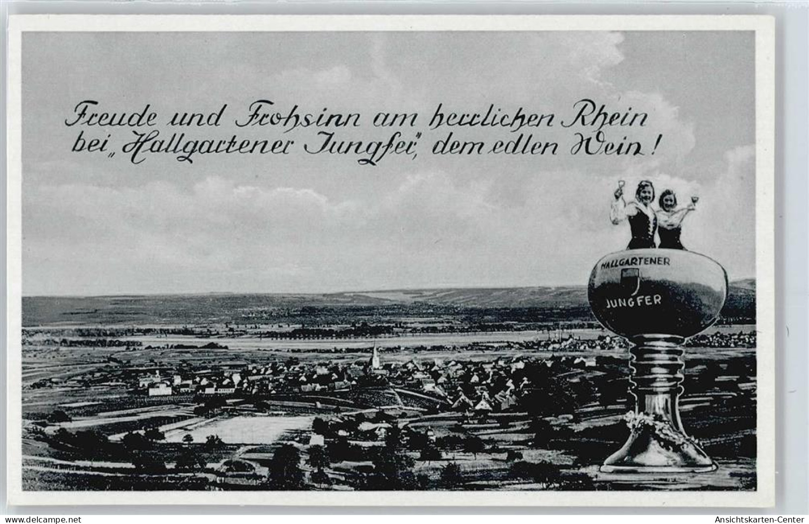 50413513 - Hallgarten , Rheingau