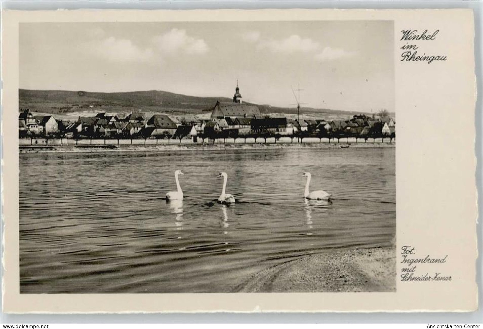 50413519 - Oestrich-Winkel