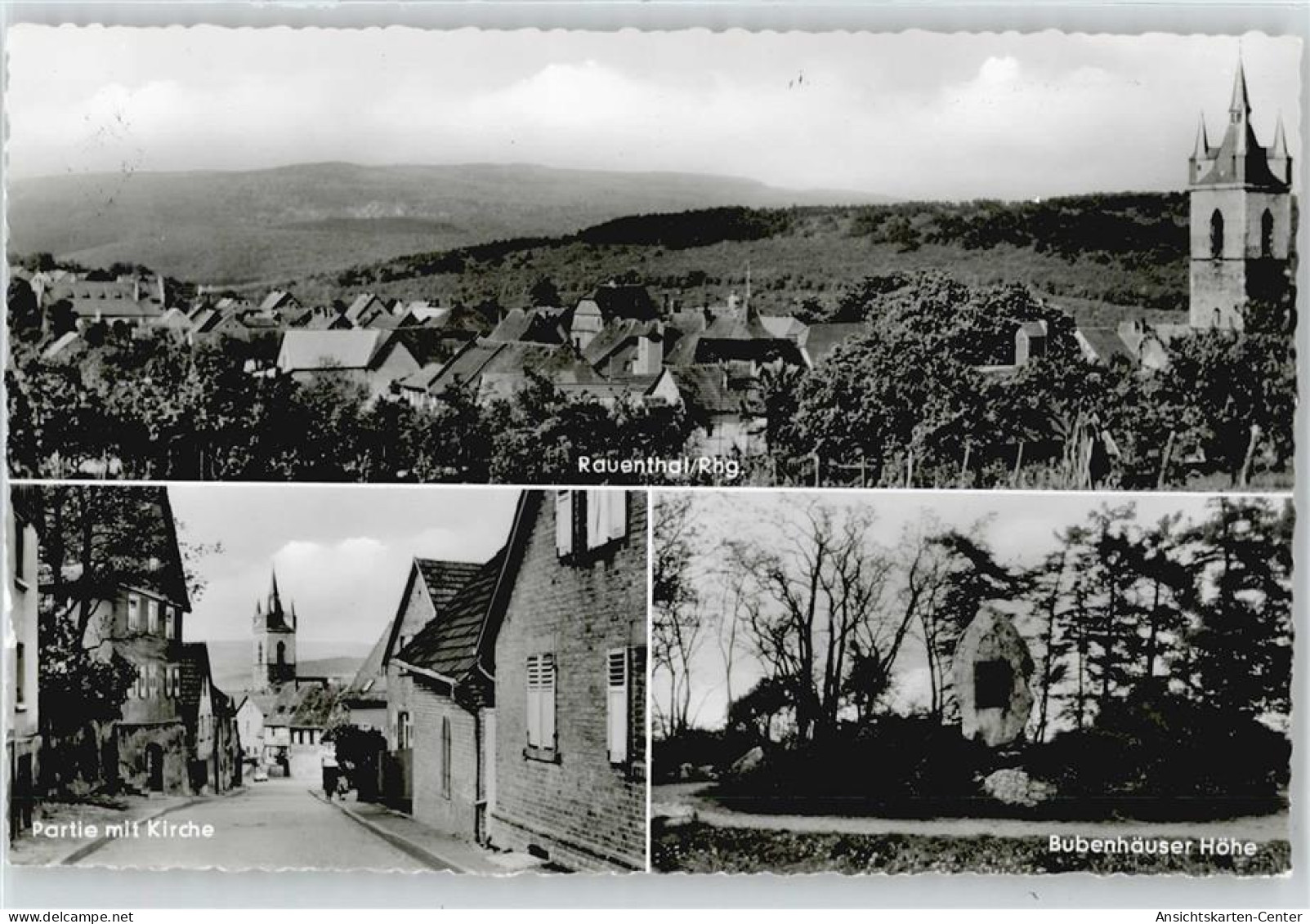 50413659 - Rauenthal , Rheingau