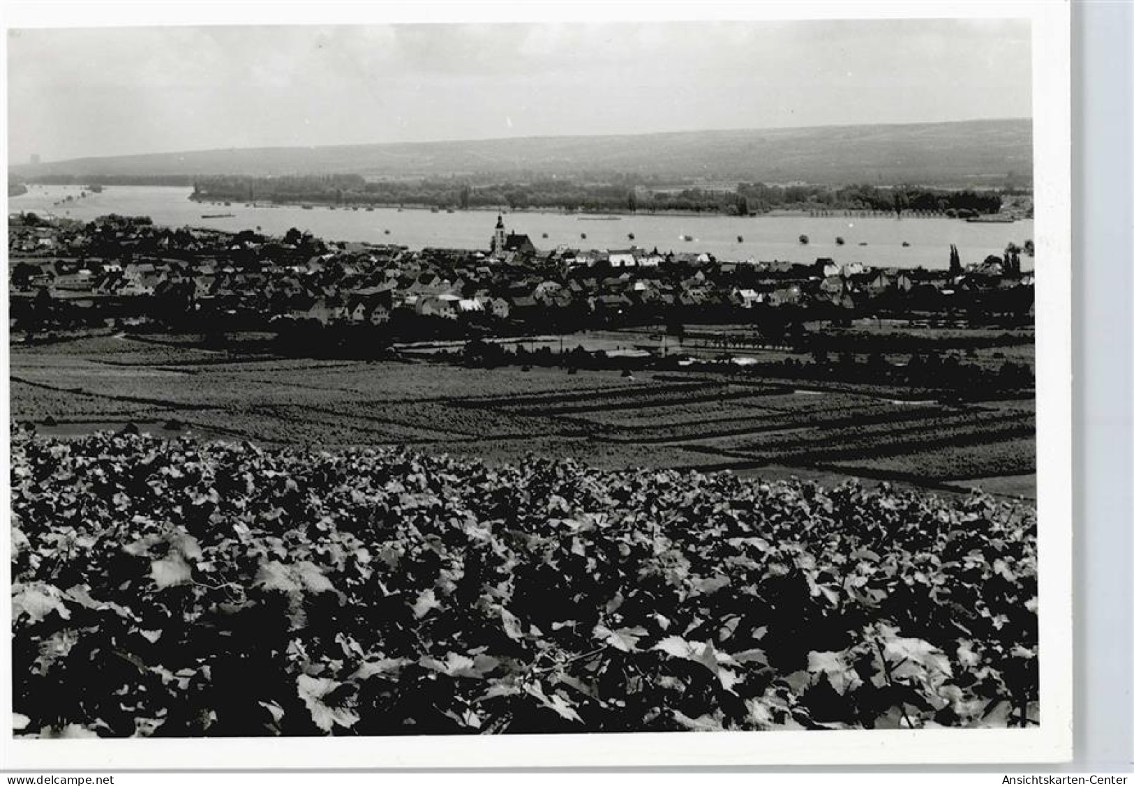 50413874 - Oestrich-Winkel