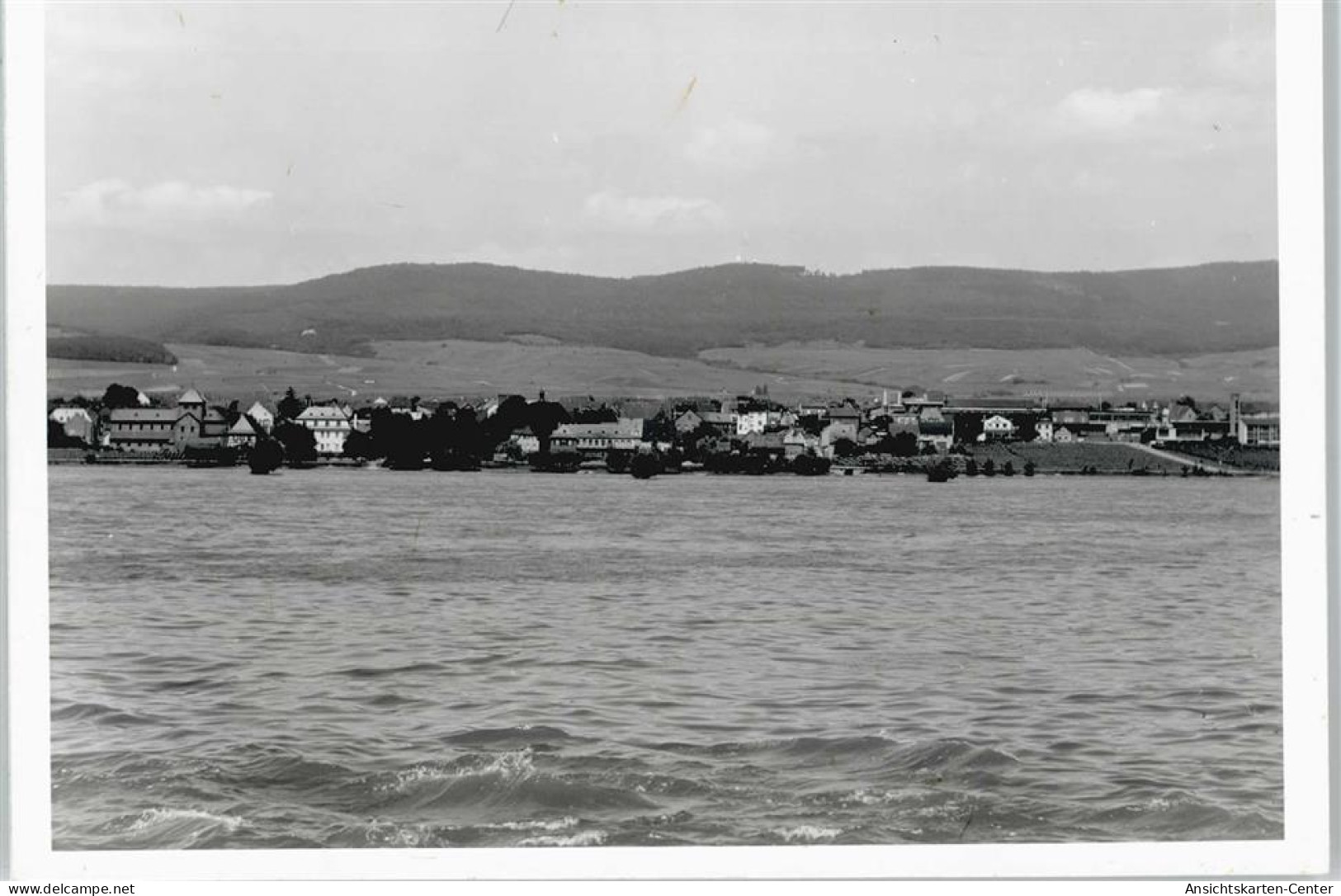 50413881 - Mittelheim , Rheingau