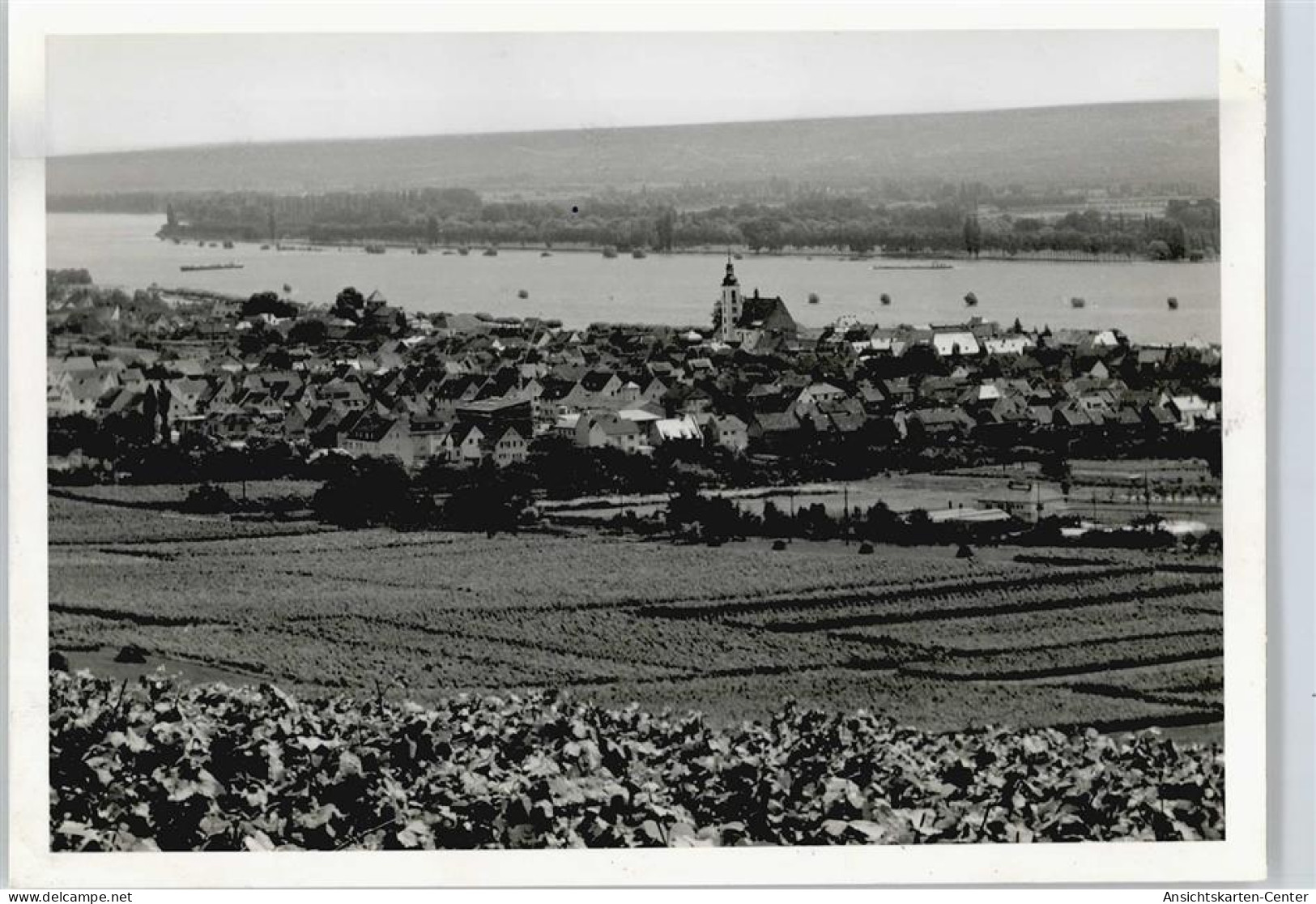 50413883 - Oestrich-Winkel