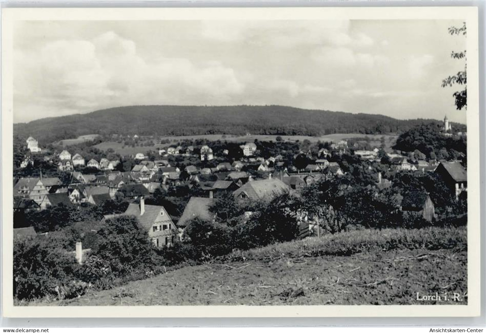 50414366 - Lorch , Wuertt