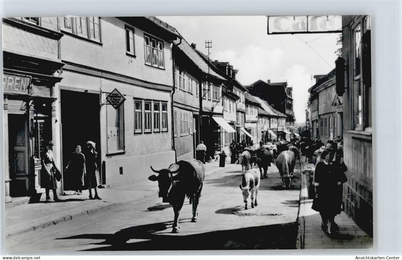 50415552 - Friedrichroda