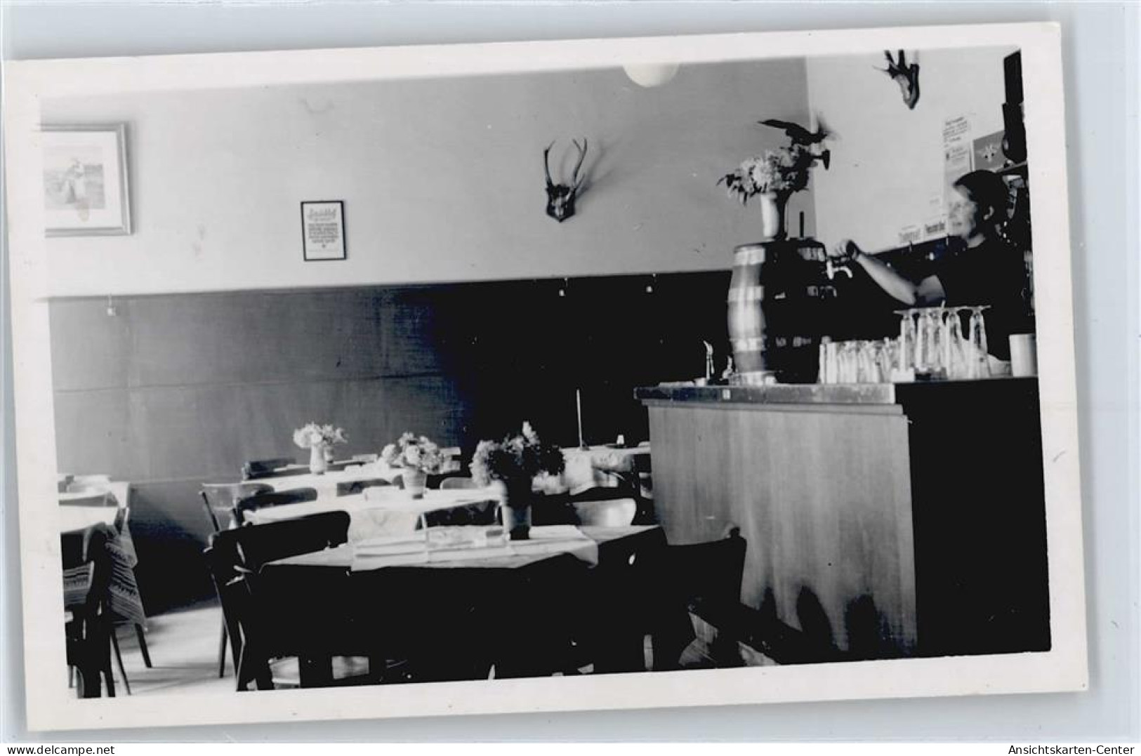 50415747 - Frelenberg