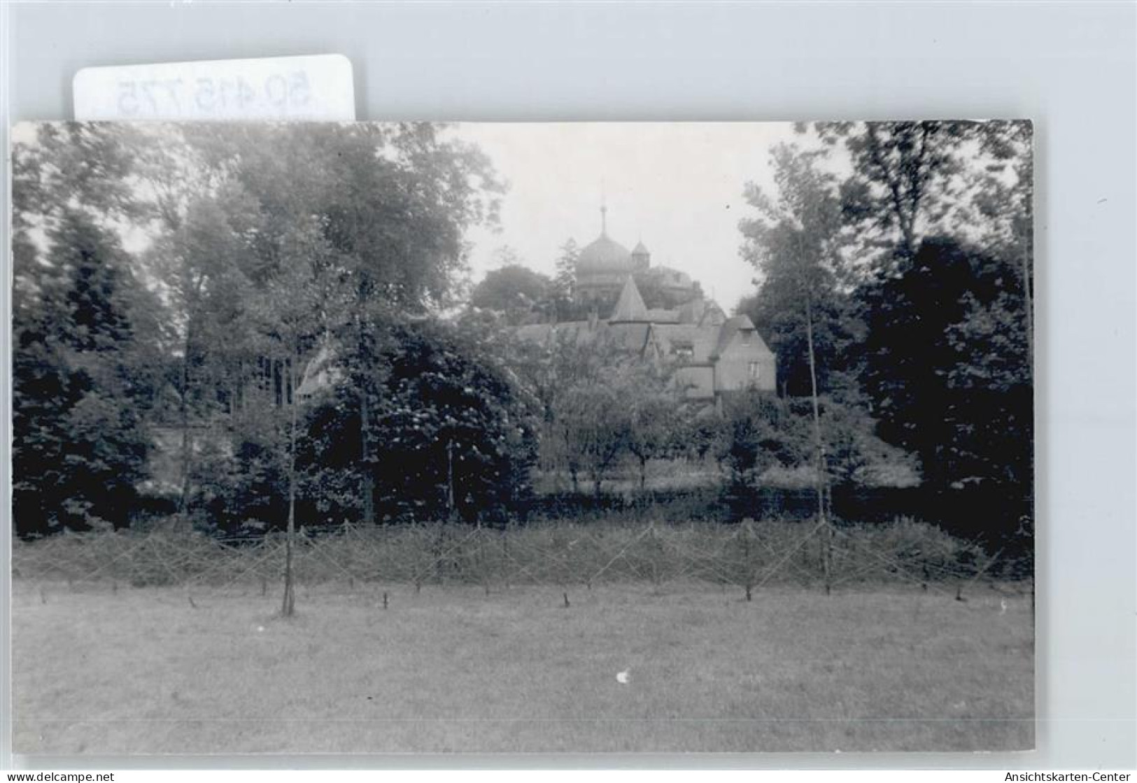 50415775 - Palenberg