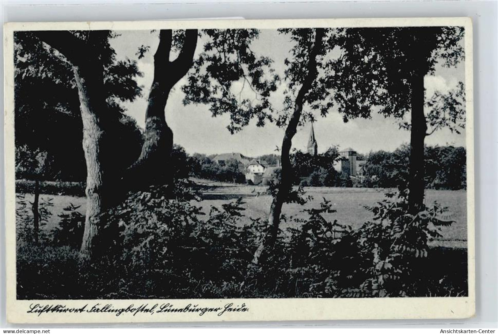 50416684 - Fallingbostel