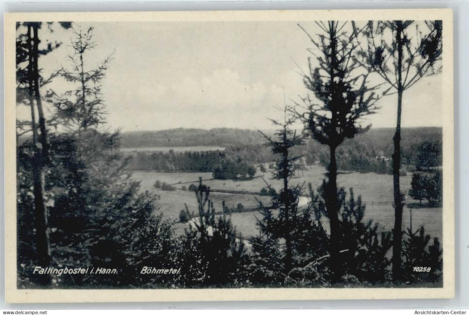 50416685 - Fallingbostel