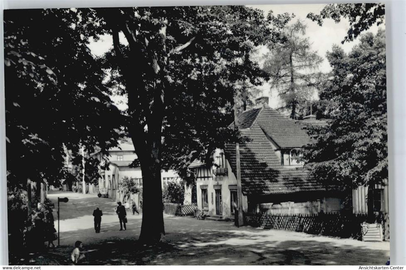 50418224 - Neuglobsow