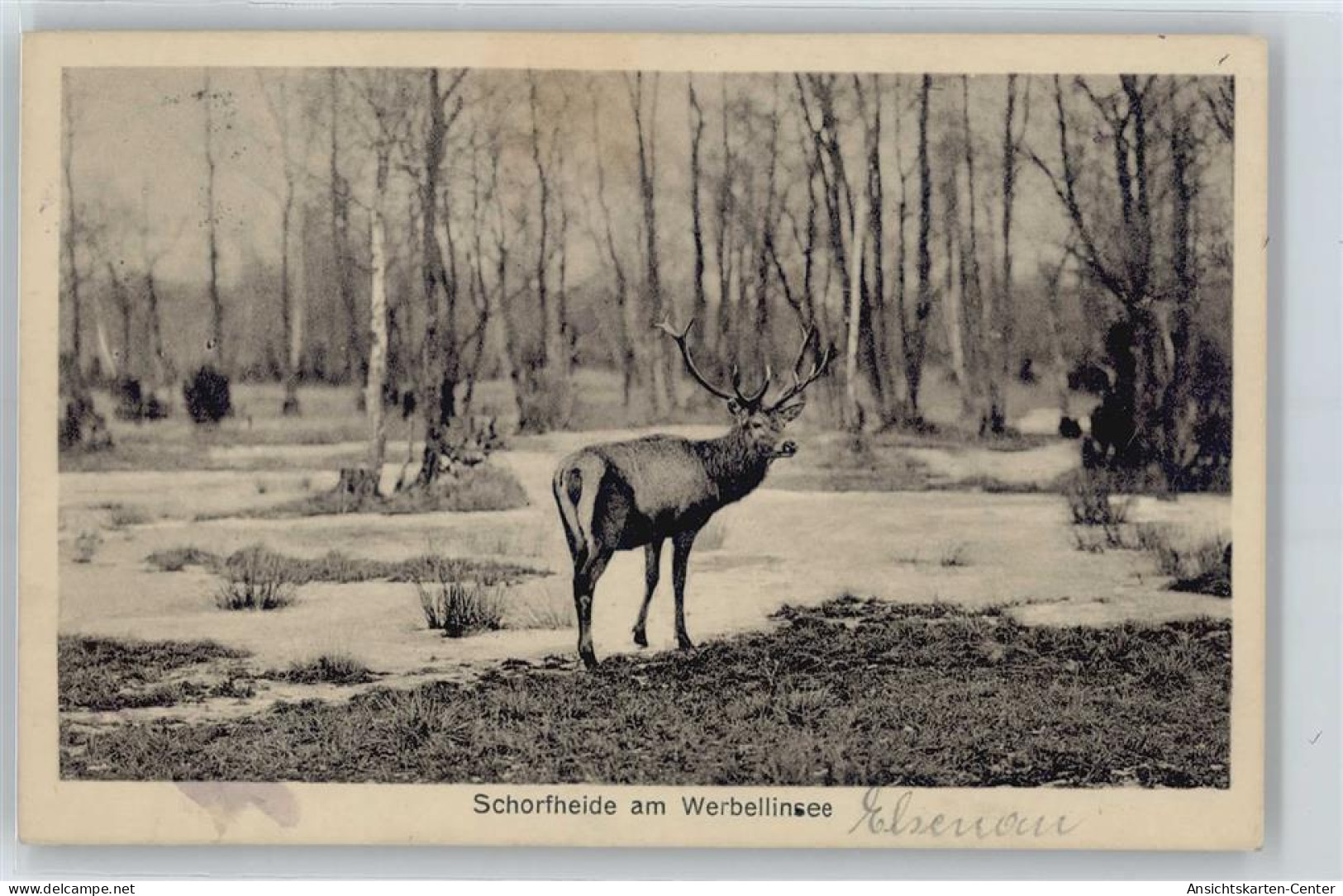 50418558 - Schorfheide