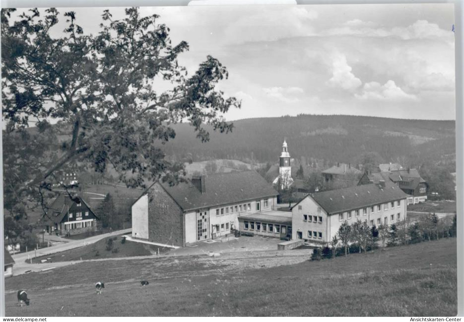 50418898 - Schellerhau