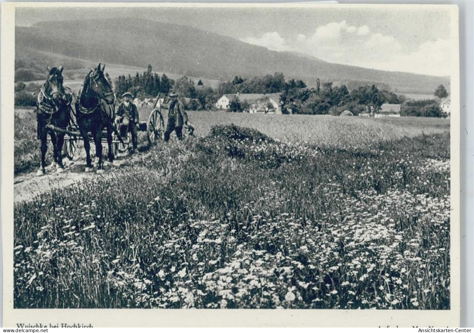 50418965 - Hochkirch