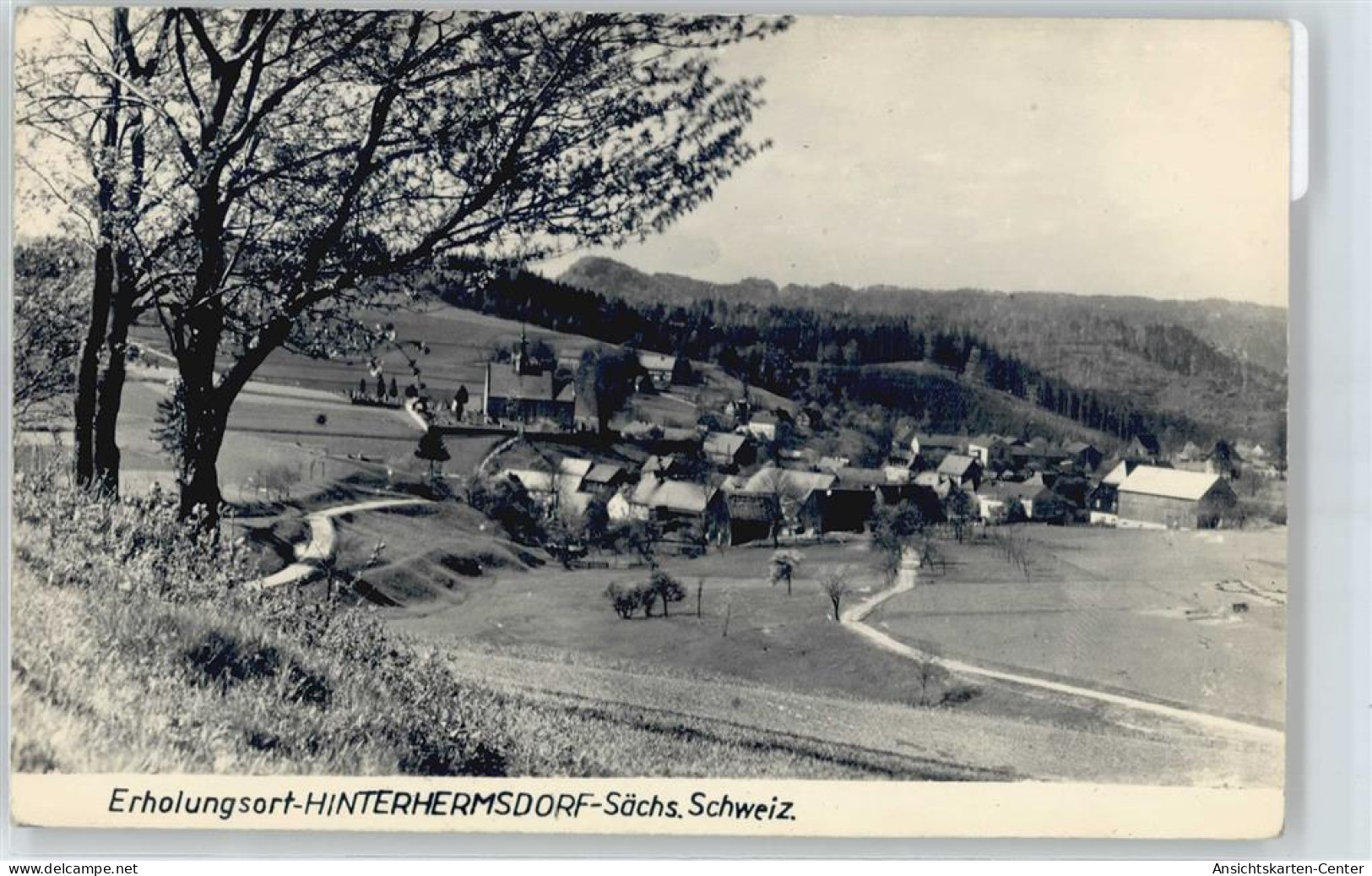 50419138 - Hinterhermsdorf