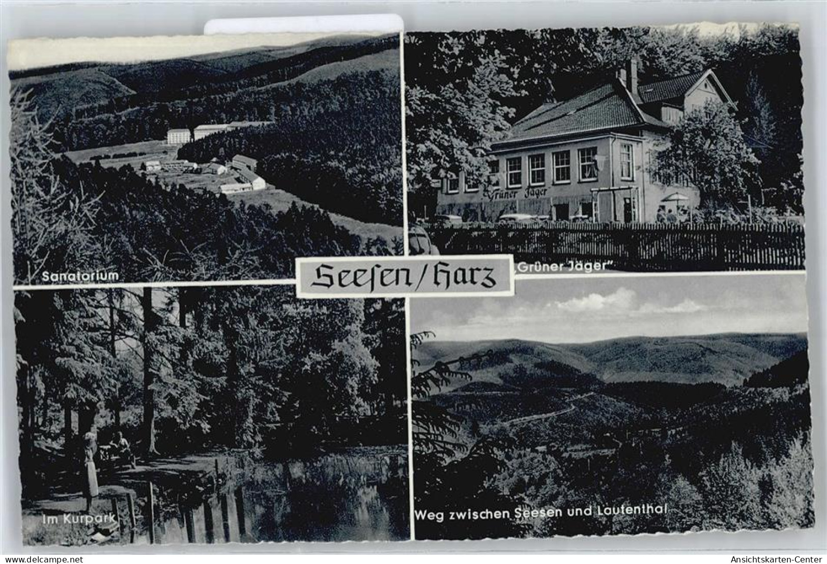 50420319 - Seesen , Harz