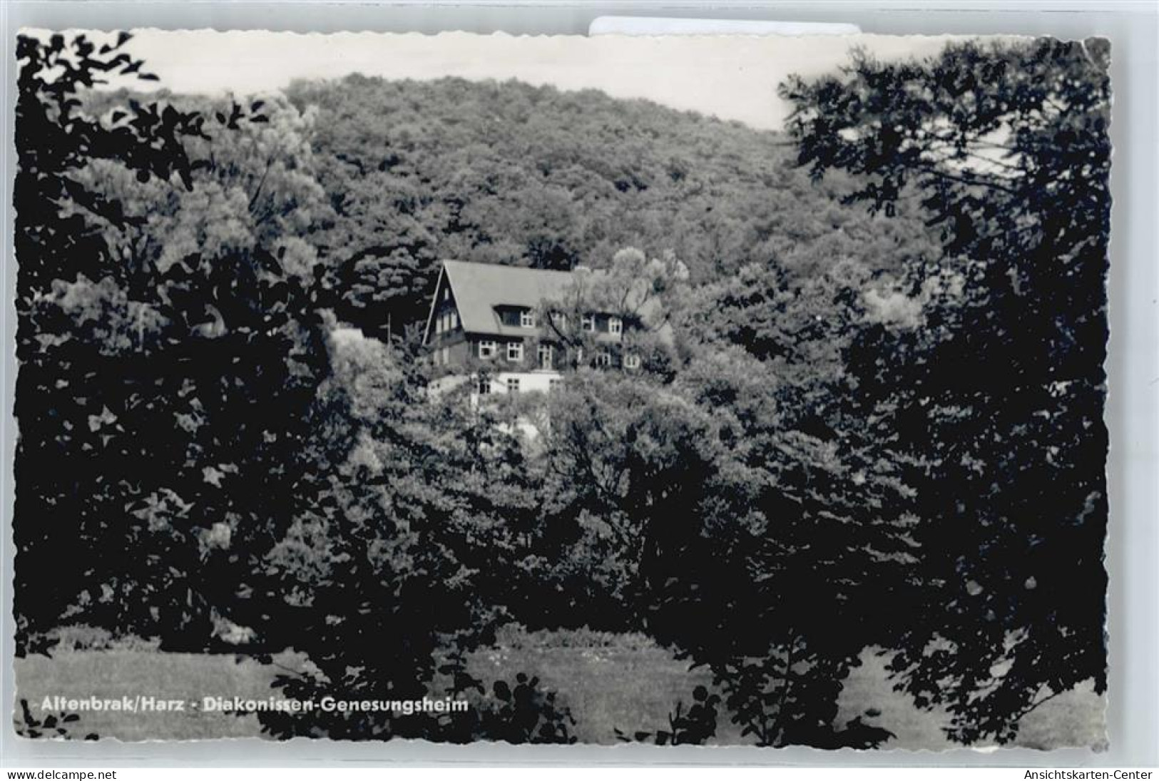 50420376 - Altenbrak