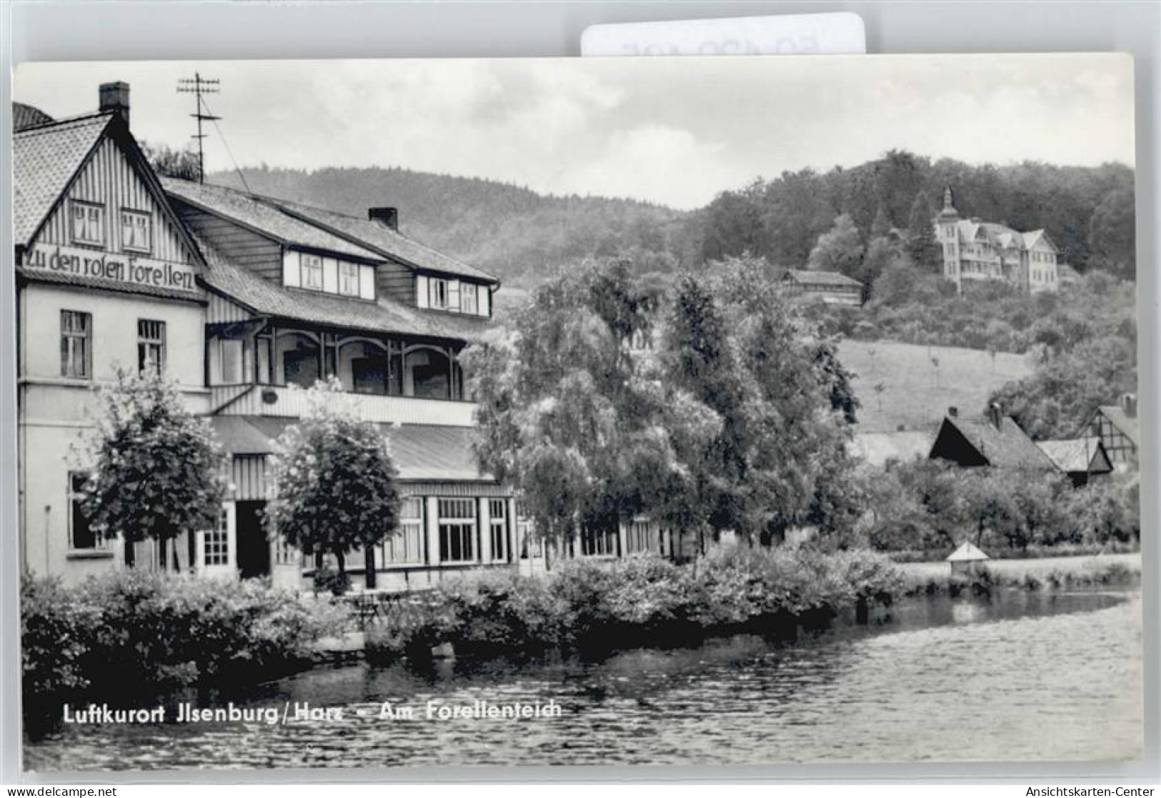 50420405 - Ilsenburg