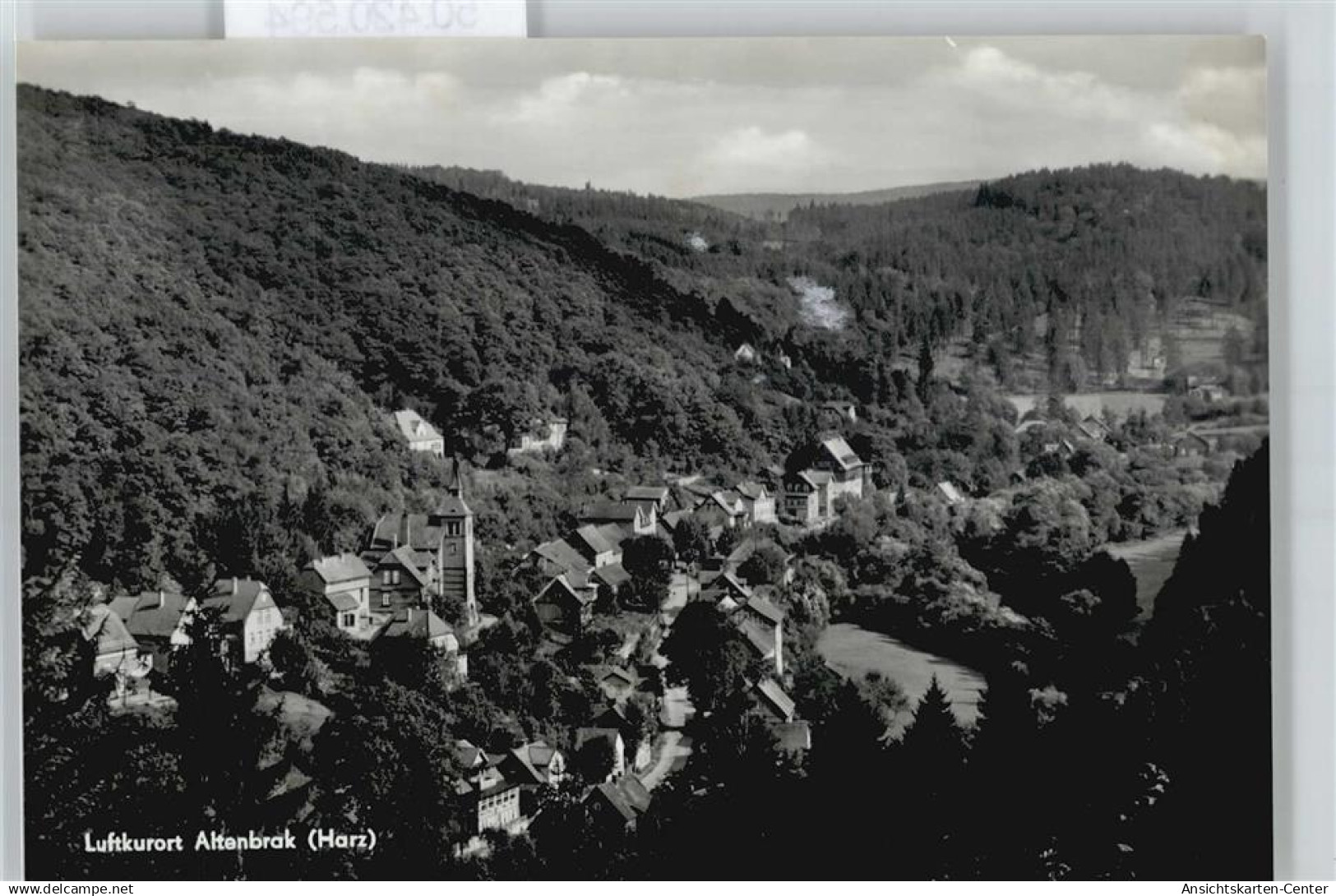 50420594 - Altenbrak