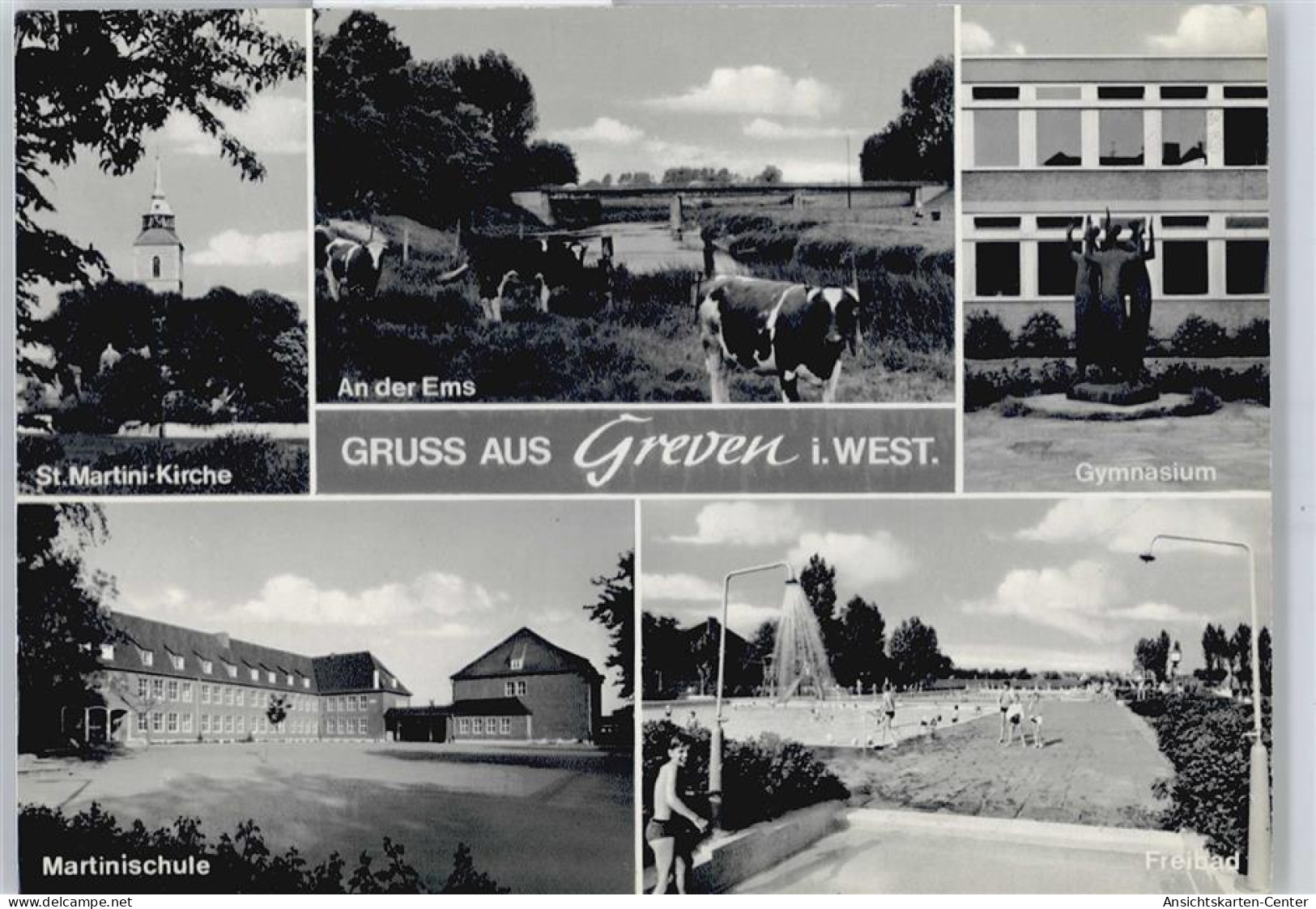 50421838 - Greven , Westf