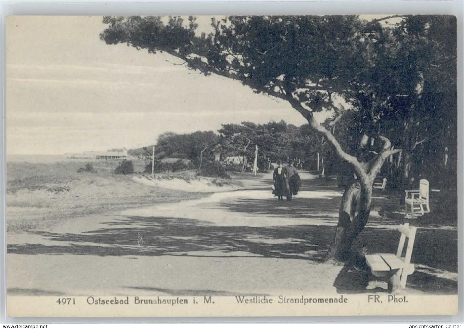 50423728 - Kuehlungsborn , Ostseebad