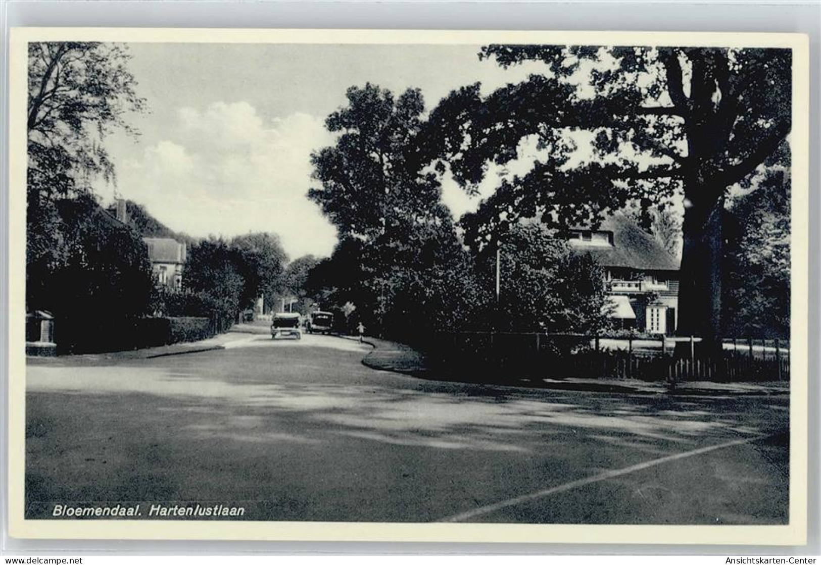 50424869 - Bloemendaal