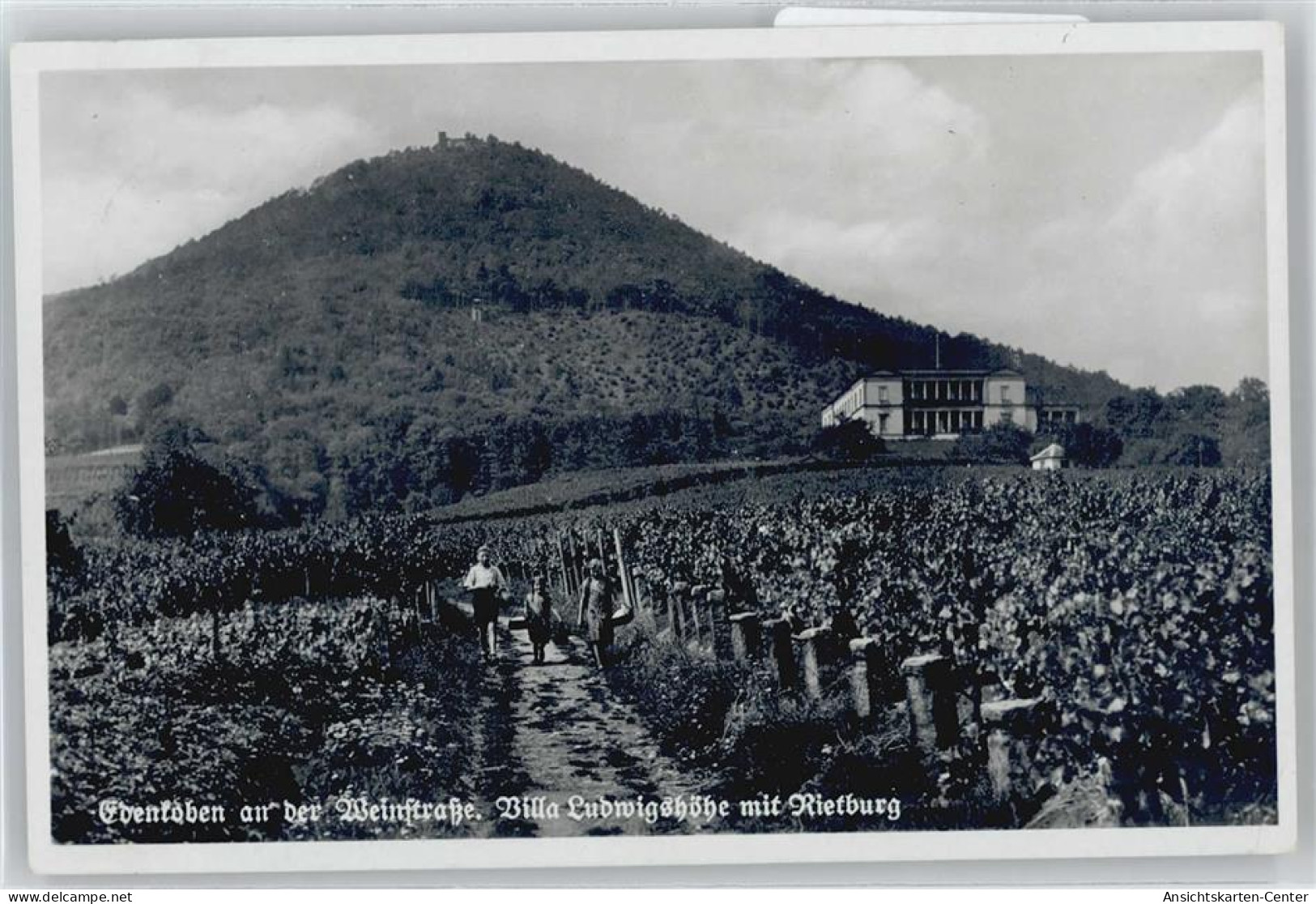 50425641 - Edenkoben