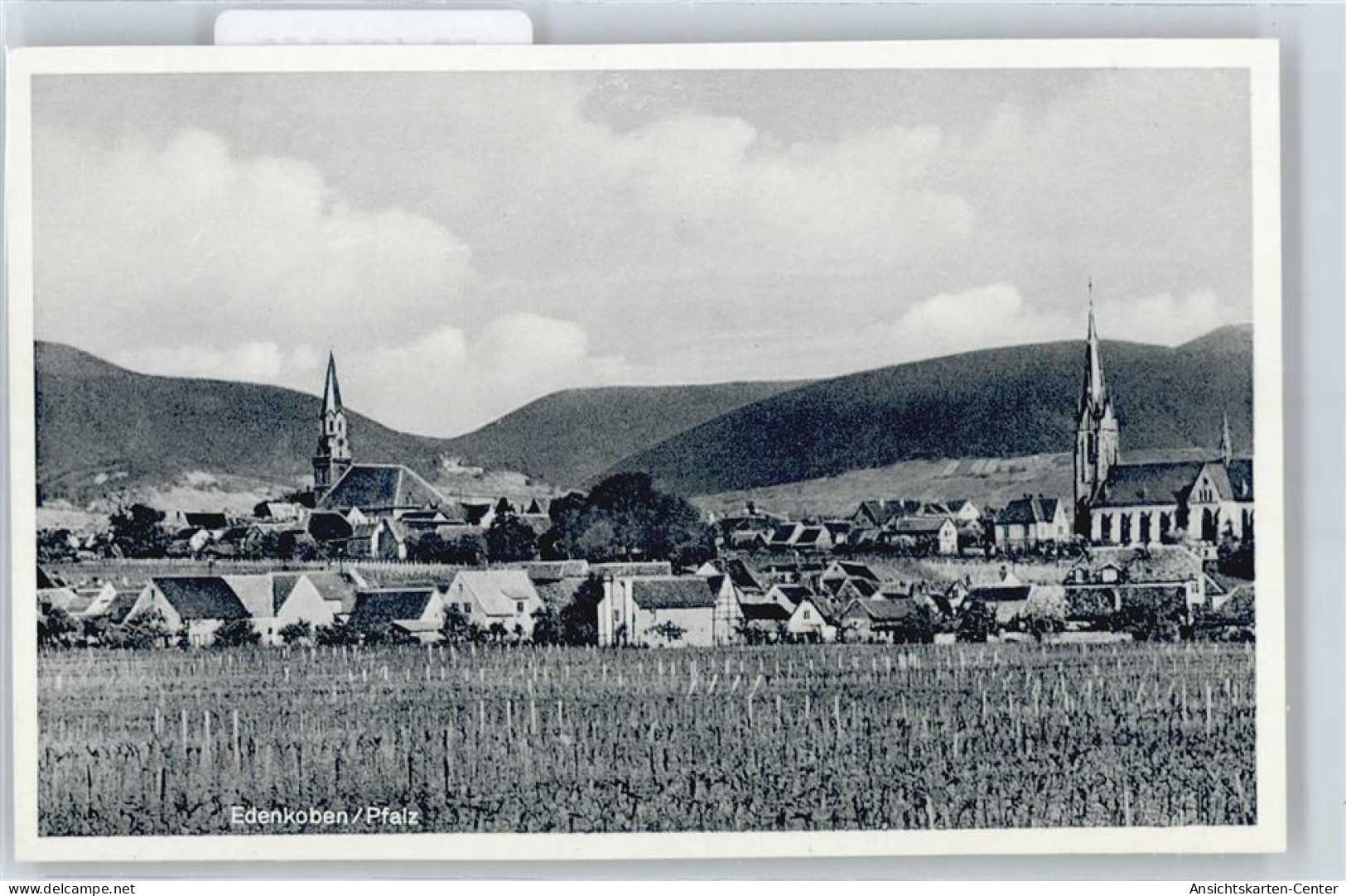 50425653 - Edenkoben