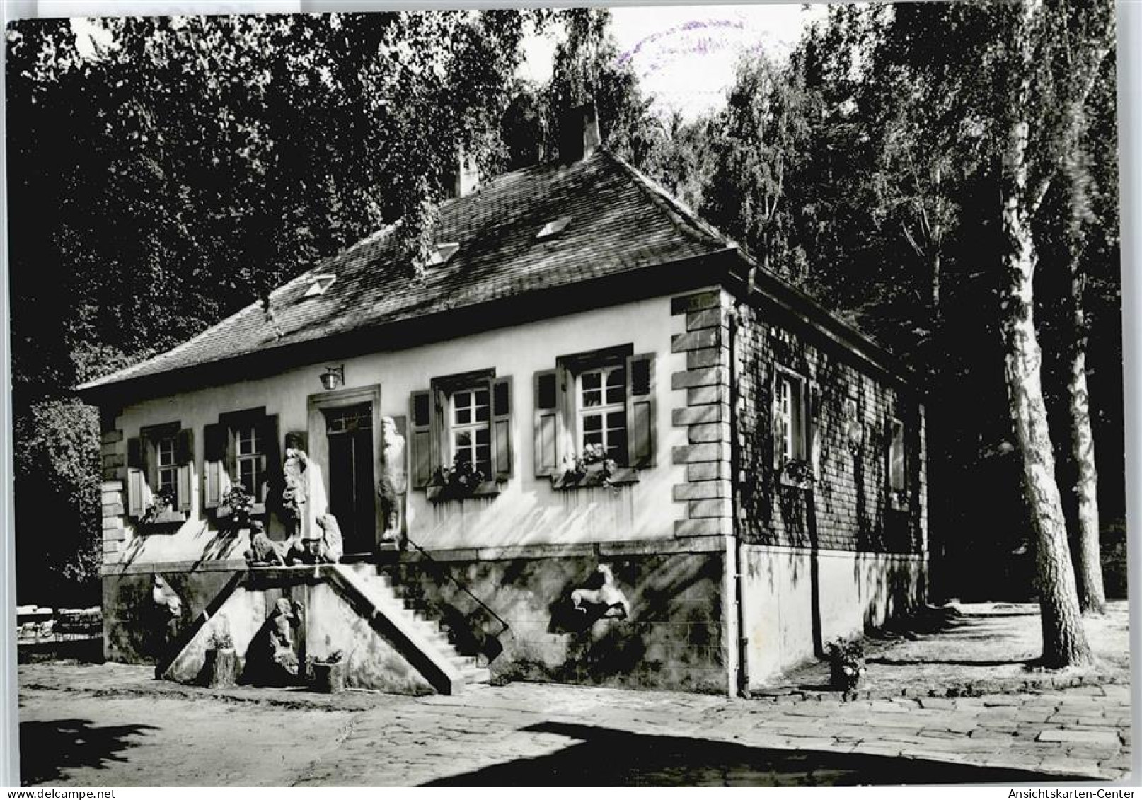 50426541 - Bad Duerkheim