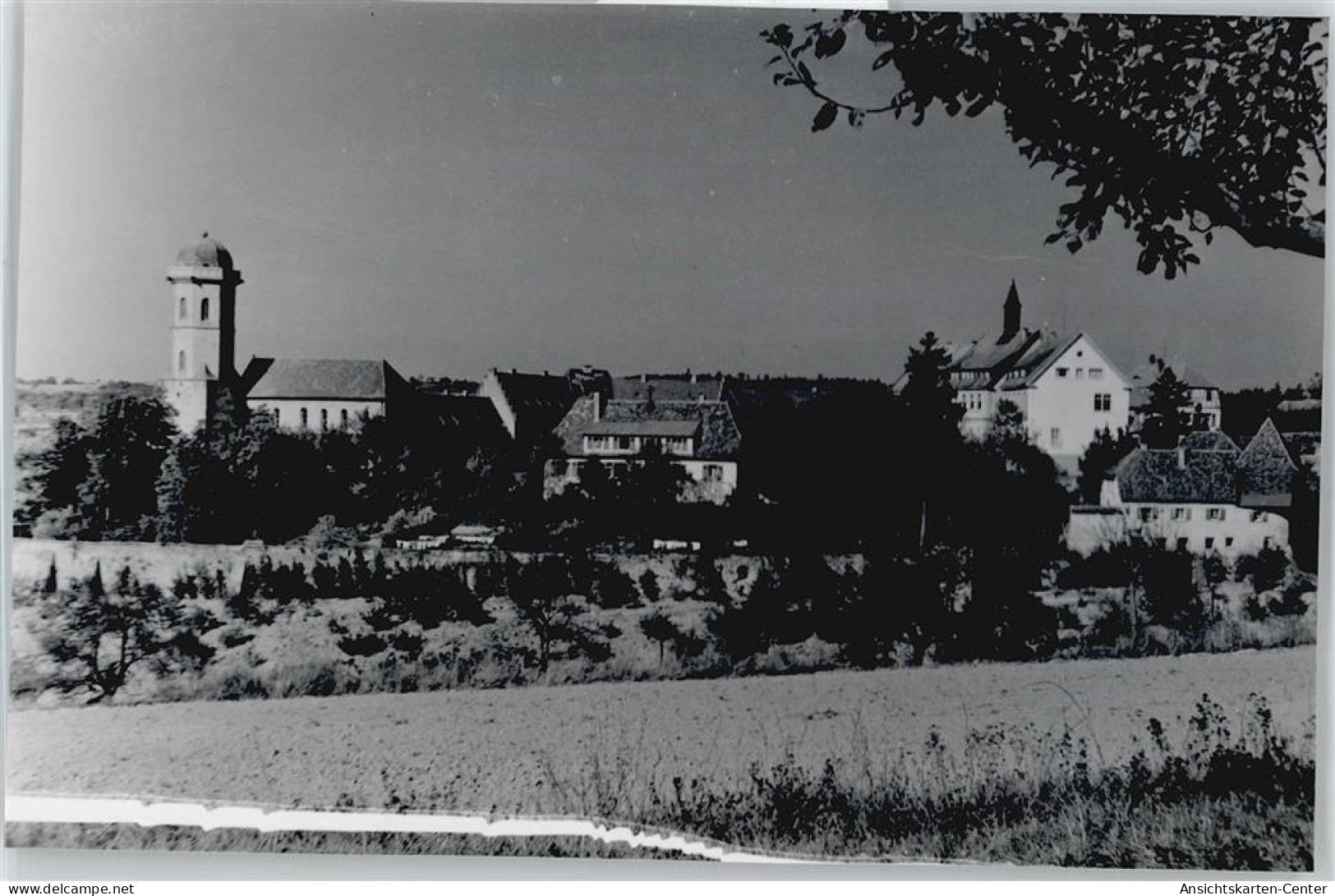 50426718 - Sinsheim , Elsenz