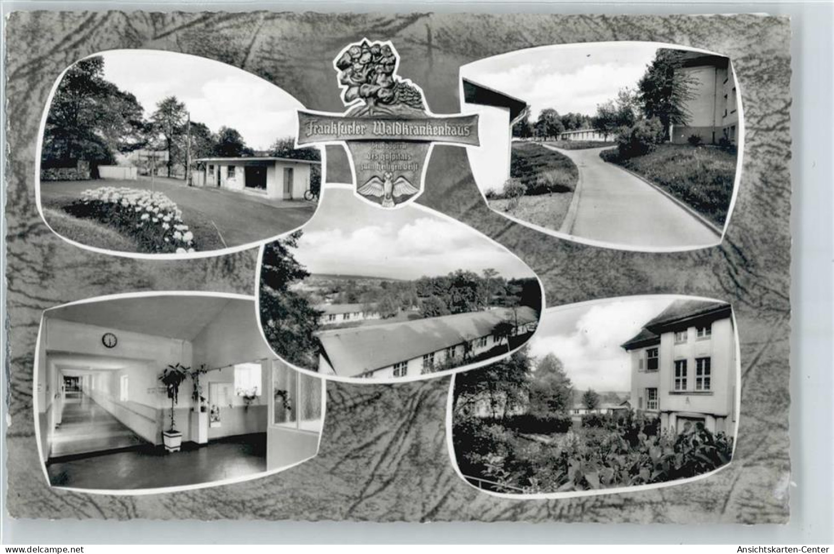 50429310 - Friedrichsdorf , Taunus