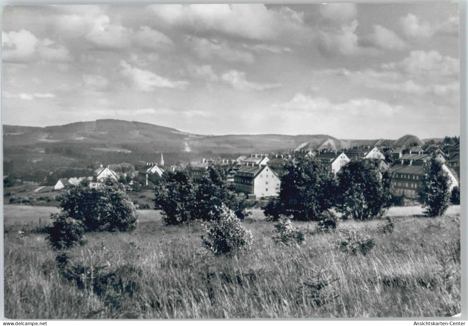 50429634 - Johanngeorgenstadt